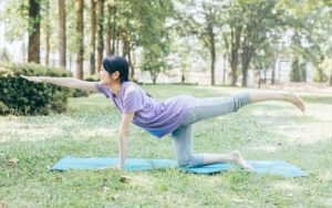 バランスディスク