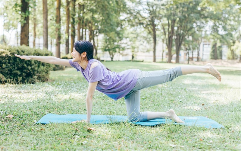 バランスディスク