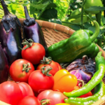 新型コロナウイルス対策