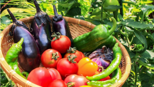 新型コロナウイルス対策