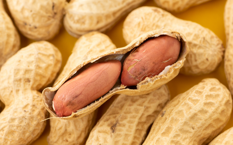 ピーナッツはナッツじゃない?