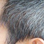 白髪は抜くと増える？