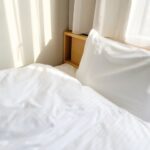 QS556 口コミ 評判｜ダニ対策や音は大丈夫？ スティック布団乾燥機の実力