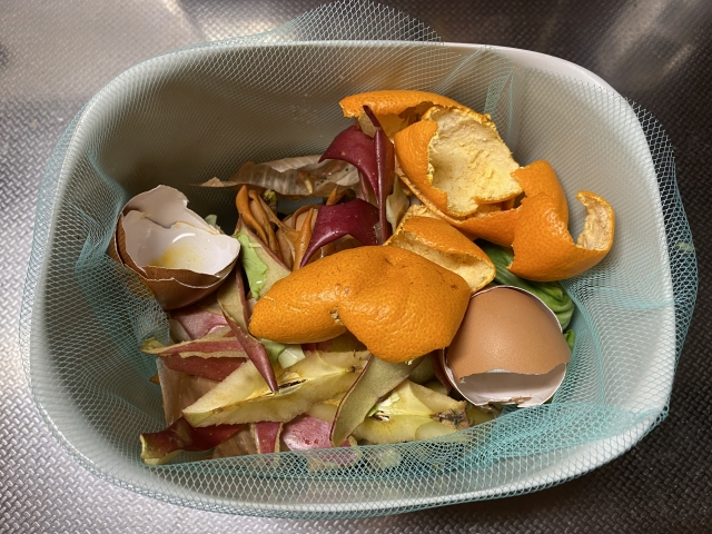 LOWYAの生ごみ処理機を調べてみた｜コンパクトで臭い対策に効果的？デメリットも正直レビュー