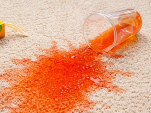 子育て家庭の救世主？シャーク ステインフォースのシミ取り性能を徹底調査